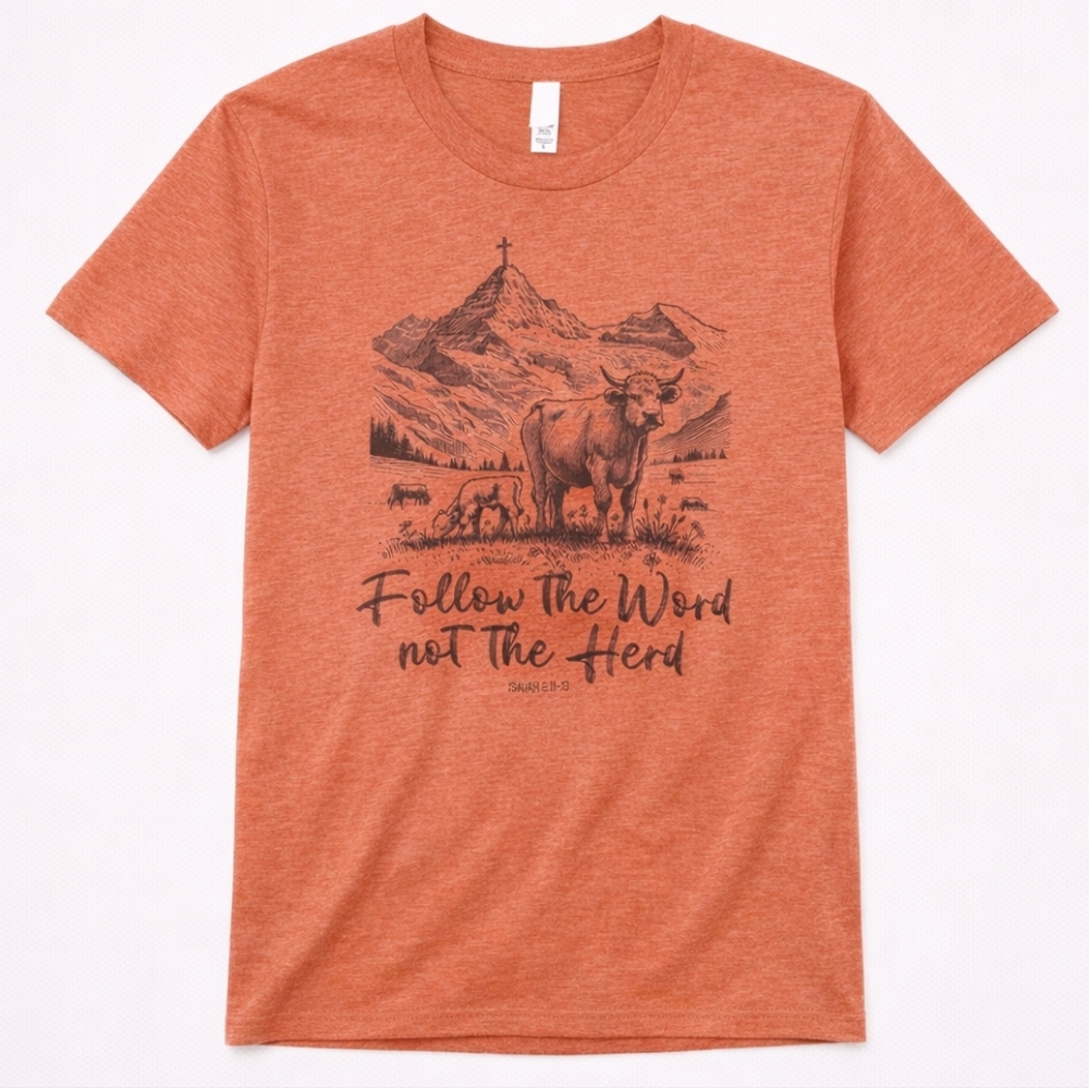Love & Faith Follow The Word Not The Herd Terracotta Tee NWT L XL 2X 3X - Picture 3 of 4
